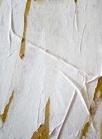 papel rasgado blanco en blanco con lados rasgados pegados. diseño de plantilla de maquetas de afiches abstractos para espacio de copia y texto. papel mojado mate arrugado para fondo y textura. foto