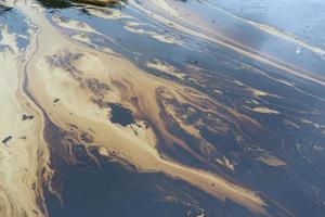 Gulf oil spill is shown on a beach photo