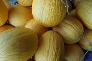 The close-up of yellow melons photo