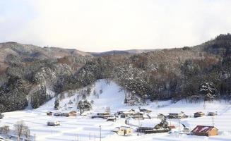 casas cubiertas de nieve foto