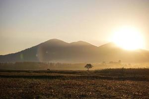 sol de la mañana en el campo foto