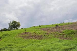 prado de la ladera, tailandia foto