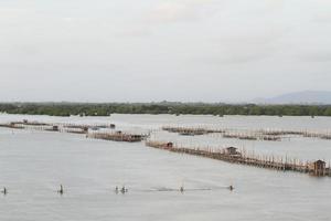 Shellfish farm, Thailand photo