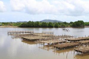 Shellfish farm, Thailand photo