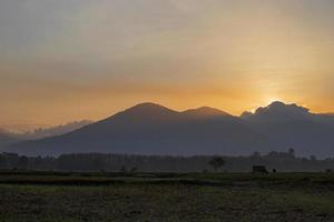 sol de la mañana en el campo foto