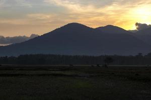 Field in the morning, dry season photo