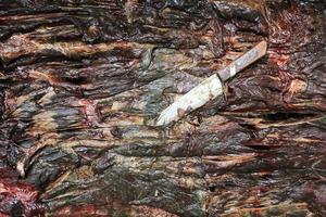 Cutting whale carcass photo