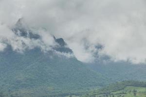 hermoso paisaje de montaña, bosque y niebla. foto