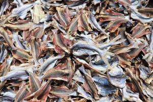 Sun-dried salted fish photo