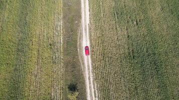 el coche conduce por la carretera entre dos grandes campos con trigo verde. paisaje agrícola. foto