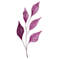 Purple hand drawn tropical leaf illustration png