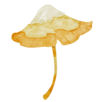 Hand drawn botanical mushroom illustration png