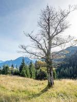 kolbensattel cerca de oberammergau escenas foto