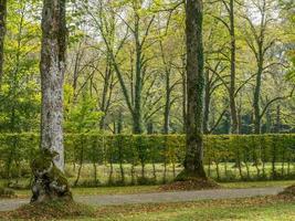 Green trees in Herrenchiemsee palace park photo