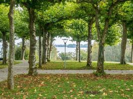 Green trees in Herrenchiemsee palace park photo