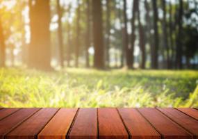 Selected focus empty wooden table and view of green forest blur background with bokeh image. for your photomontage or product display. photo