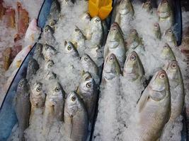 raw seafood fish display for sale photo