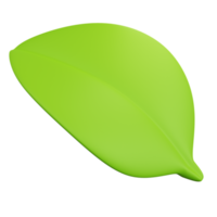 3d rendering leaf isolated png