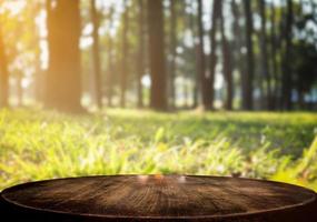 Selected focus empty wooden table and view of green forest blur background with bokeh image. for your photomontage or product display. photo