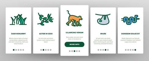 Jungle Forest Onboarding Icons Set Vector