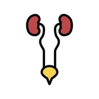 urinary system color icon vector illustration