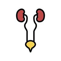 urinary system color icon vector illustration