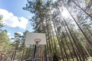 swing and horizontal bars on playground and basketball court in pine forest photo