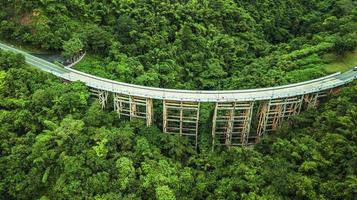 An aerial view of  Road or bridge is in the middle of a forest photo