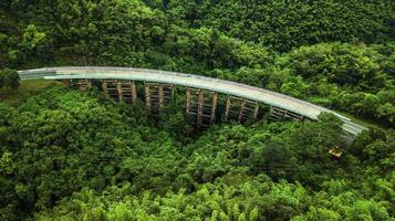 An aerial view of  Road or bridge is in the middle of a forest photo