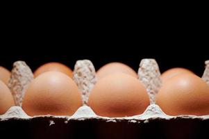 Eggs in a protective container on black background. photo