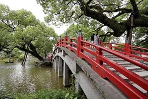 Beautiful Tenmangu Shrine photo