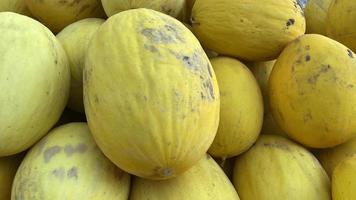 Background of yellow melons in a large pile photo