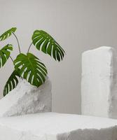 Abstract minimal background for product presentation with white rock and green monstera plant . 3D render. photo