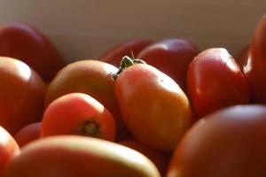 red ripe eco-friendly tomatoes on the windowsill on a sunny morning photo