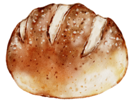 panadería de acuarela, pan, pastel, hornear, pintura a mano png