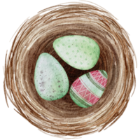 Easter eggs in the nest watercolor png