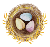 oeufs de pâques dans le nid aquarelle png