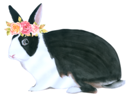 coniglio animale di pasqua con acquerello di fiori png