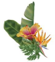 Tropical flower composition watercolor hand paint png