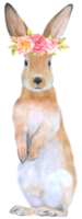 coelho animal de páscoa com aquarela de flores png