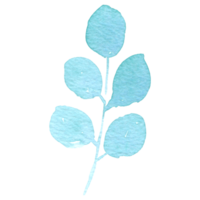 Leaf foliage watercolor png