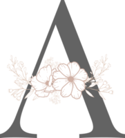 alfabet med blomma streckteckningar png