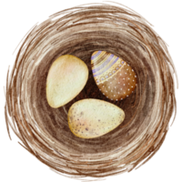 oeufs de pâques dans le nid aquarelle