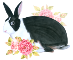 lapin de pâques animal avec fleur aquarelle png