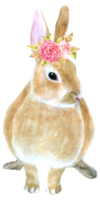 Rabbit Easter animal with flower watercolor png