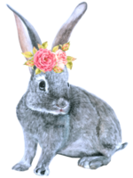 coniglio animale di pasqua con acquerello di fiori png