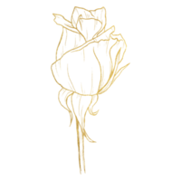 flor rosa con arte lineal dorado png