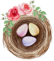 Easter eggs in the nest watercolor png