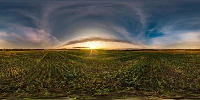 full seamless spherical hdri panorama 360 degrees angle view among fields in summer evening sunset with awesome blue pink red clouds in equirectangular projection, ready for VR AR virtual reality photo