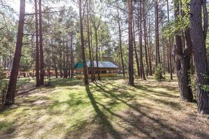 wooden camping arbors  with all conviniences in a pine forest photo